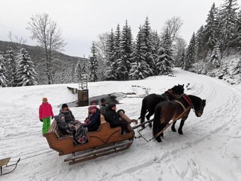 Strefa Ciszy -Lawenda Apartman Świeradów-Zdrój Kültér fotó